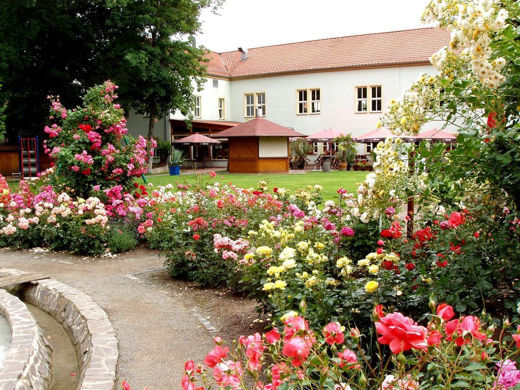 Hotel Weidenmuehle Mühlhausen 외부 사진